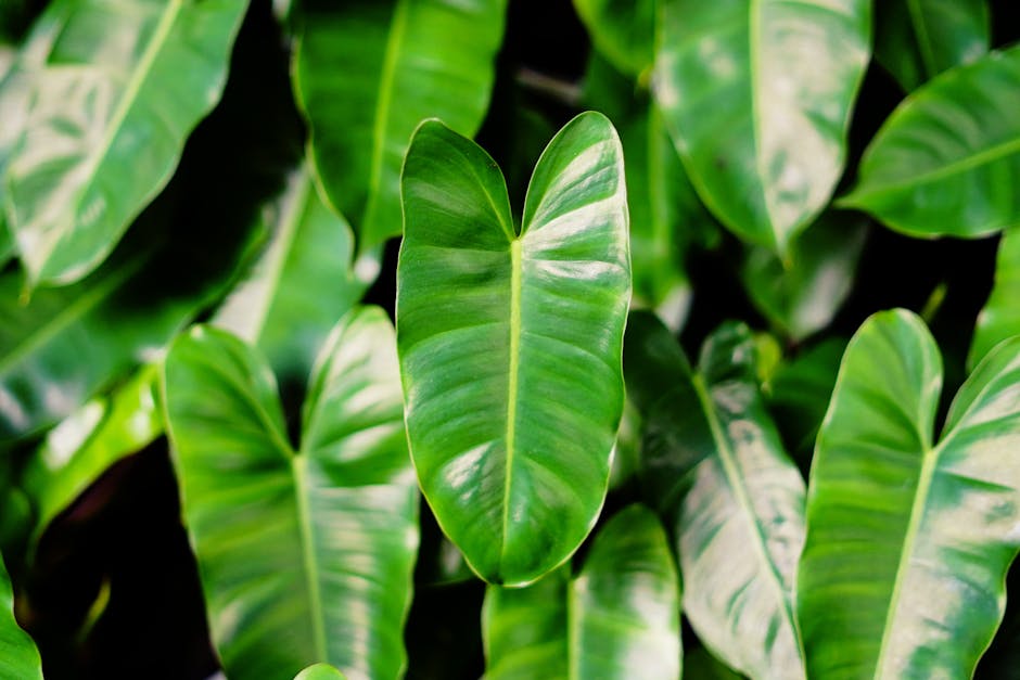 Fresh Leaves: Flavors That Grow From the Heart